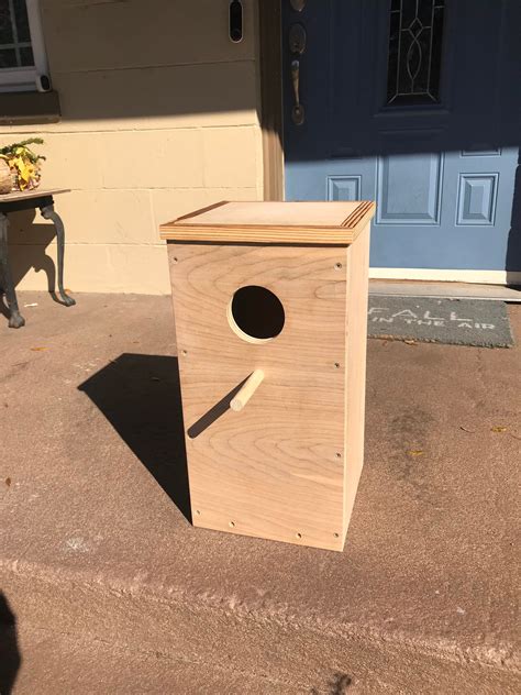 metal nesting boxes for parrots|indian ringneck parrot nesting box.